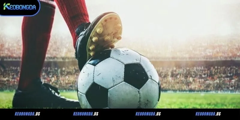 Áp dụng chiến thuật bắt kèo ngược dòng