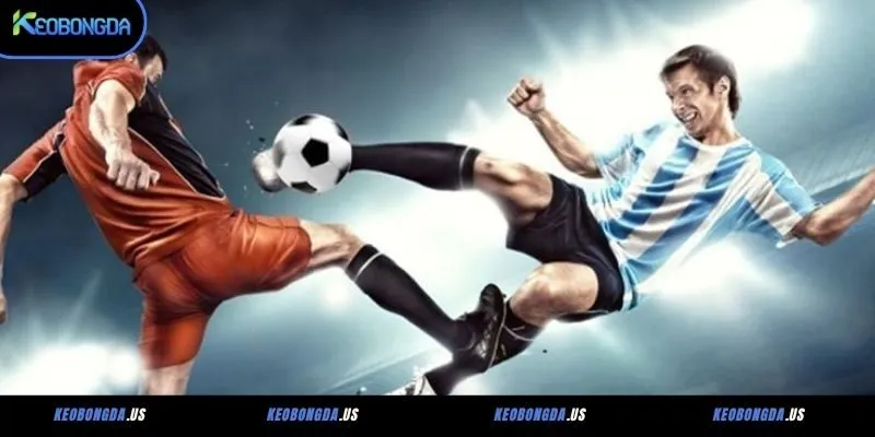 Bật mí bí kíp soi kèo bóng đá cúp C1 Châu Âu