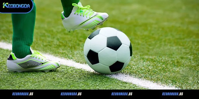 Các loại 2 dòng kèo thường gặp tại Keobongda.us