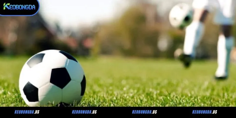 Cách đọc 2 dòng kèo là gì chi tiết cho lính mới