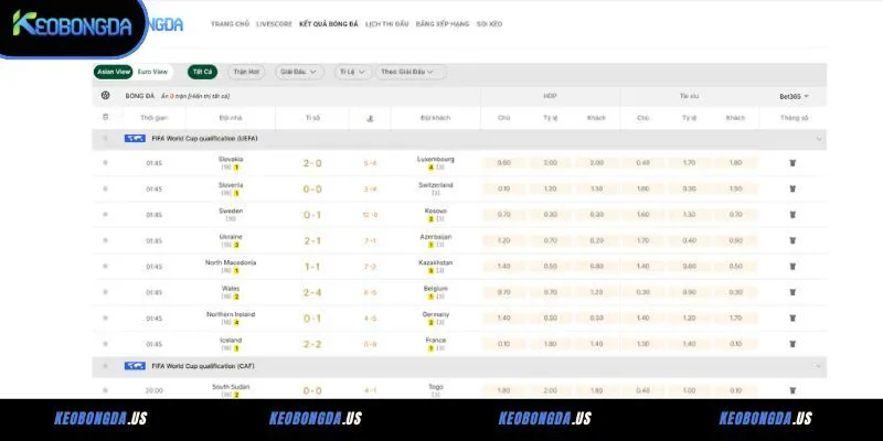 Cách đọc và hiểu đúng tỷ lệ kèo bóng đá thập phân