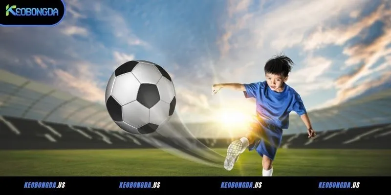 Cách đọc và tính tiền kèo bóng đá Malaysia chi tiết tại Keobongsda.us