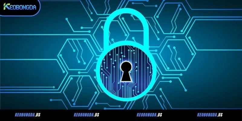 Dữ liệu người dùng được Keobongda.us tổng hợp từ các lần truy cập