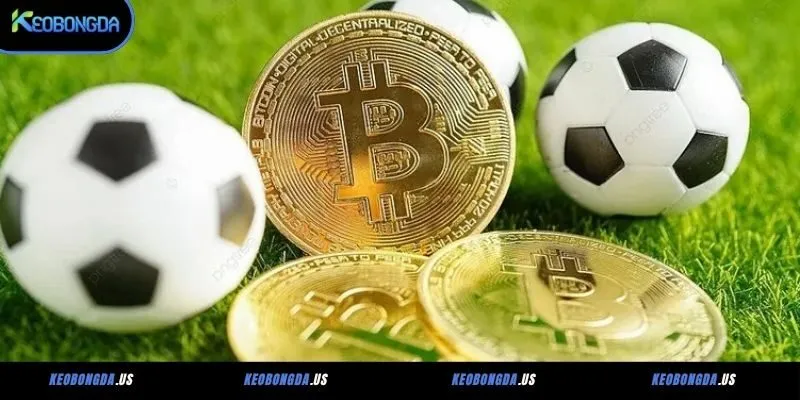 Kèo bóng đá 7M là bảng tỷ lệ cược được hệ thống cung cấp