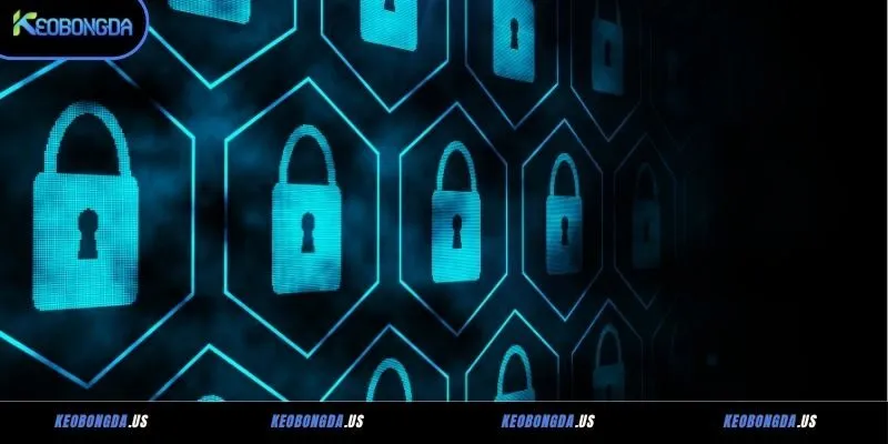 Keobongda.us thu thập dữ liệu người dùng