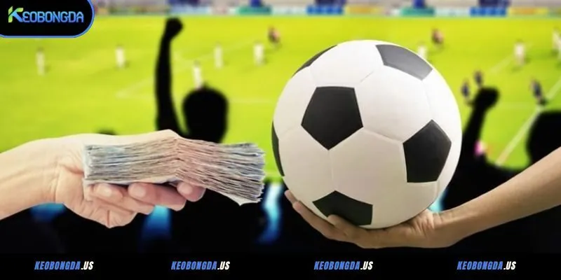 Kinh nghiệm đặt cược khi chơi 2 dòng kèo là gì