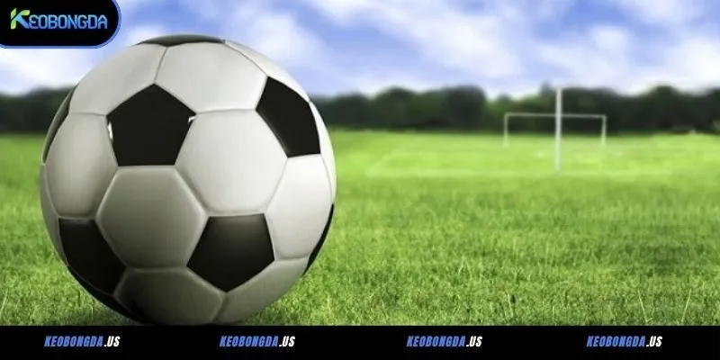 Lý do bạn nên tham gia kèo bóng đá M88BET