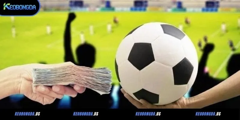 Nguyên tắc đọc kèo Châu Âu cho Newbie