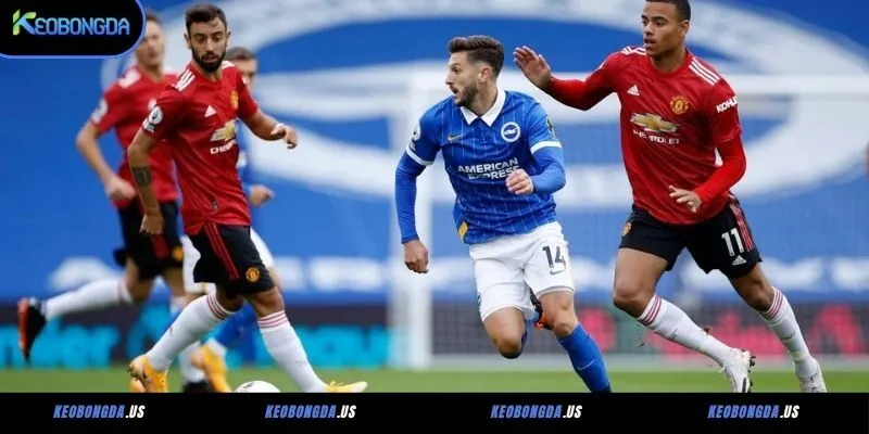 Phong độ gần đây của Manchester United vs Brighton & Hove