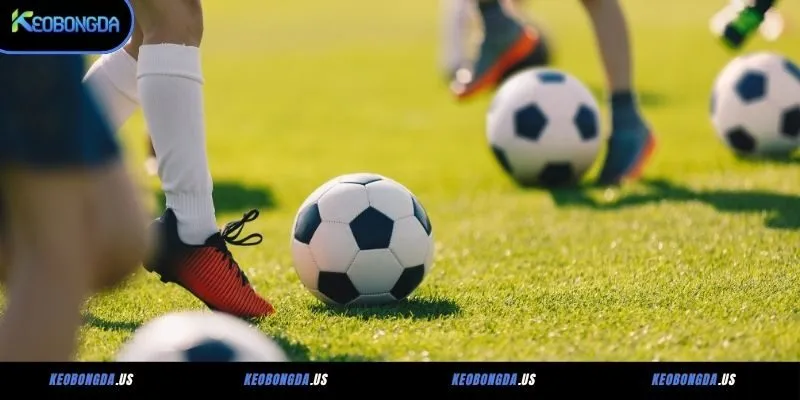 Phương pháp tính tỷ lệ kèo Hồng Kông trong bóng đá