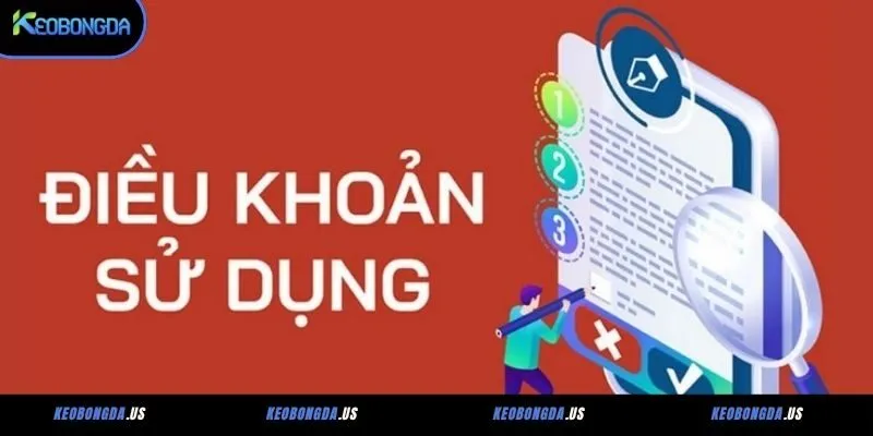 Trách nhiệm của người dùng khi truy cập vào web