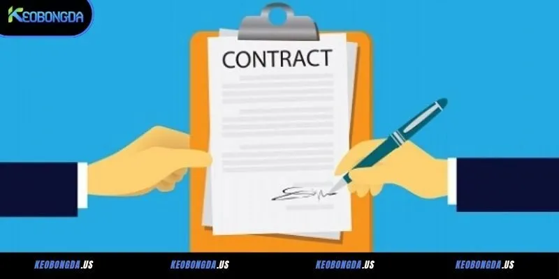 Trường hợp miễn trách nhiệm của web